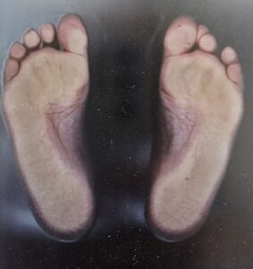 3диагностика