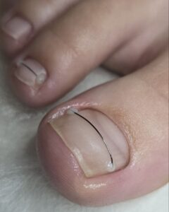 корсистема_1