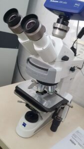 анализ грибка под микроскопом